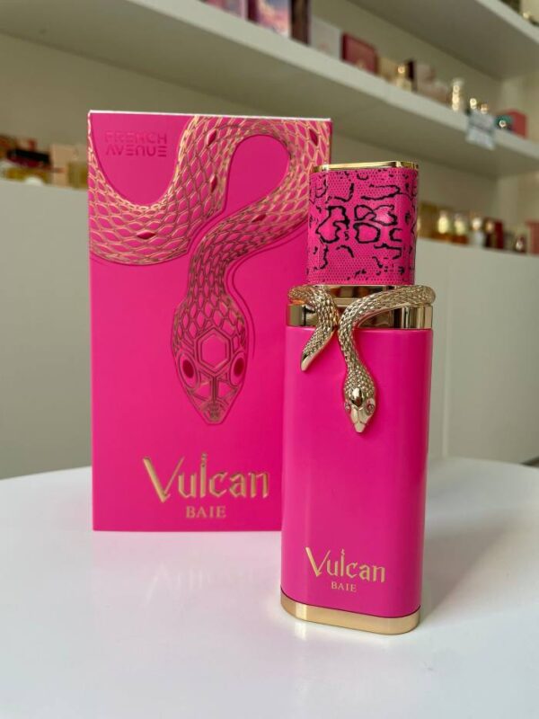 Vulcan Baie – French Avenue (2025)